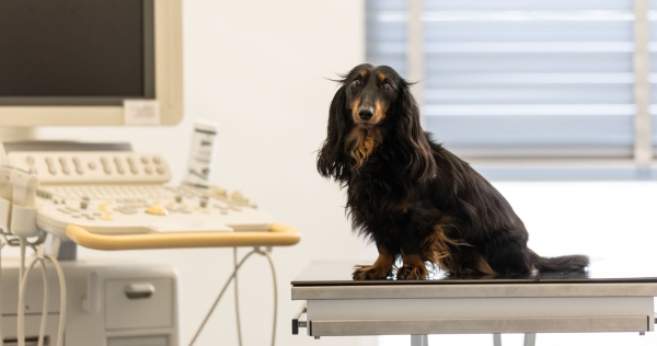 Veel gestelde vragen